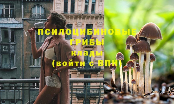 прущий лед Майский
