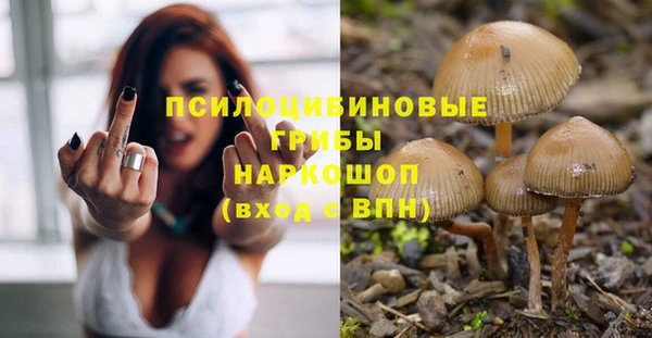 эйфоретик Медвежьегорск