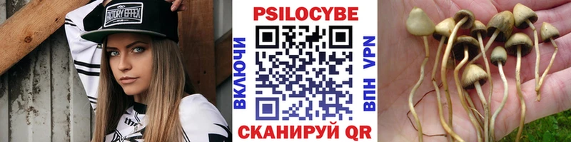 Галлюциногенные грибы MAGIC MUSHROOMS Таштагол