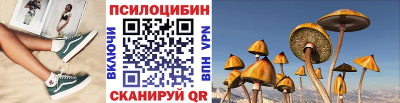 Купить  Таштагол  Галлюциногенные грибы GOLDEN TEACHER 
